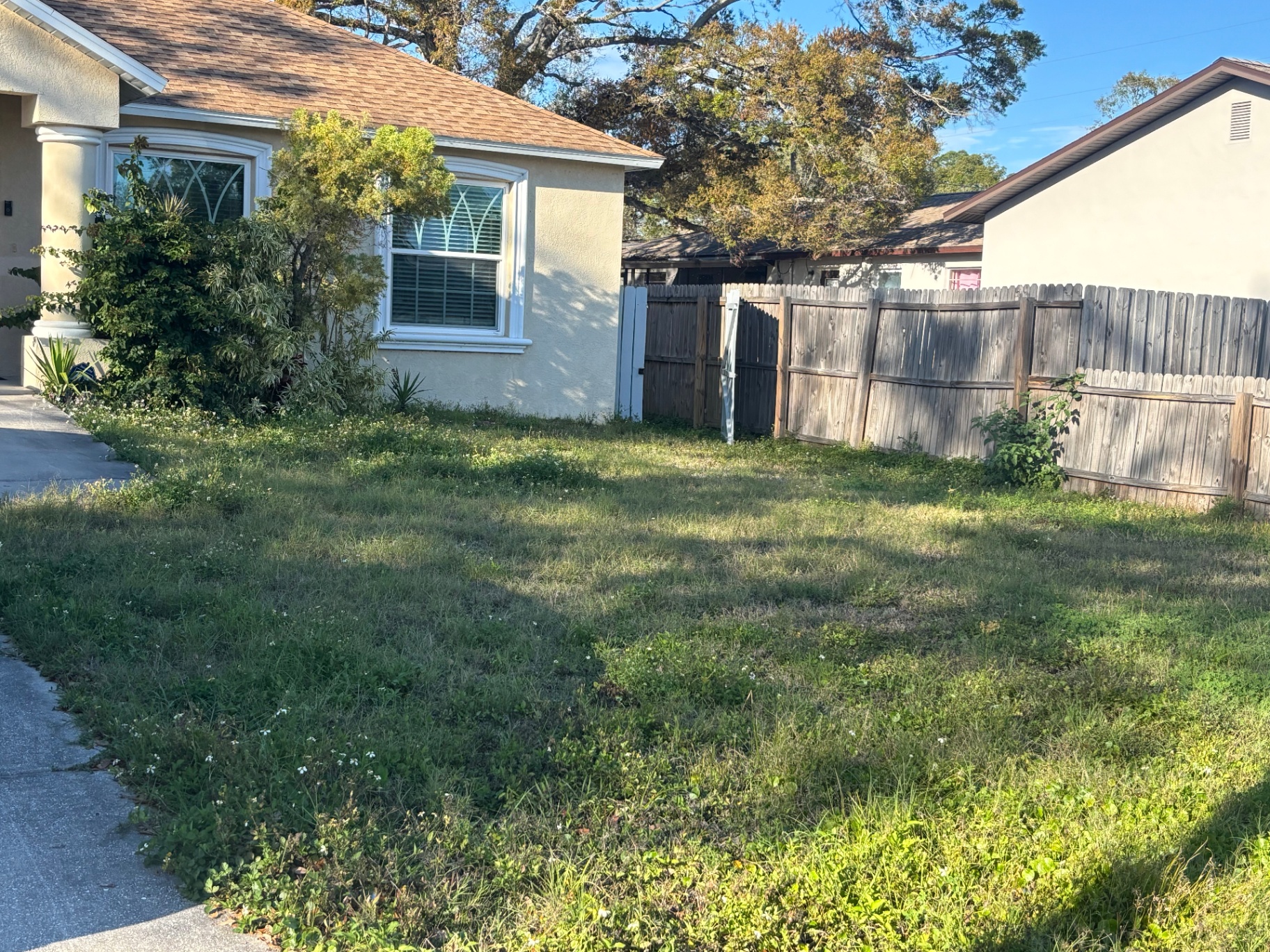 Before and after lawn transformation - before